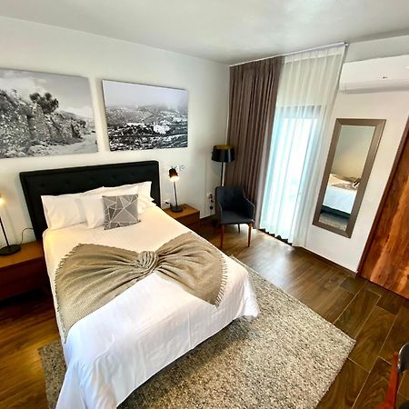 Hotel Mina Real Cedral エクステリア 写真
