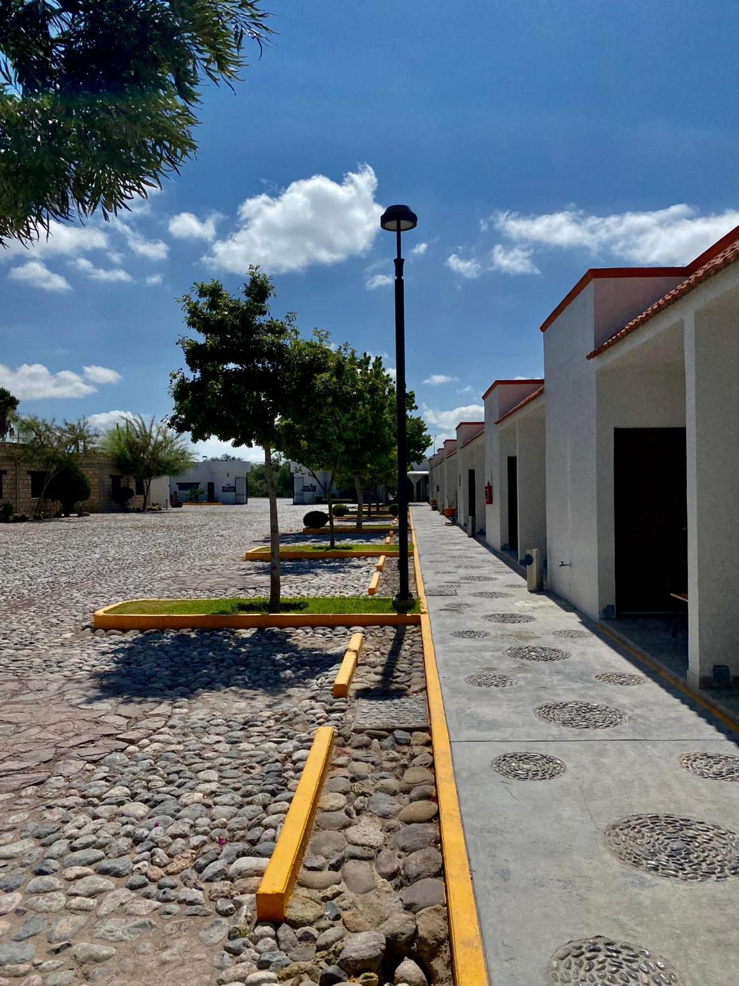 Hotel Mina Real Cedral エクステリア 写真